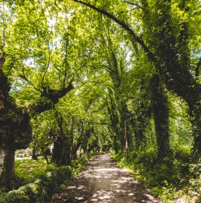 Caminho de Santiago de Compostela: Caminho Português da Costa